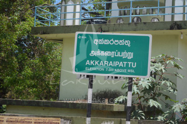 he_whoopss's tweet image. Akkaraipattu 🤗