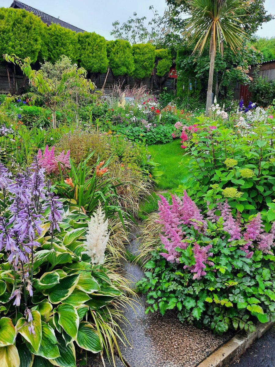 I dont know where I'd be without this place. Just sitting on the bench today, taking it easy, appreciating the plants, the birds, the bees. Its my garden appreciation day. Can't tell you how much I love it. How much do you love your garden? 😍🌿🌸☀️ (pics 3+4 from 2020)