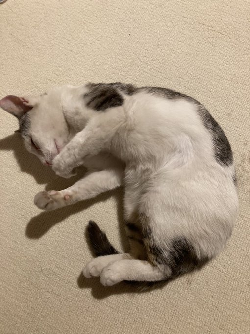 Mims Ssbさんのイラストまとめ Mims Ssbさんのイラストまとめ