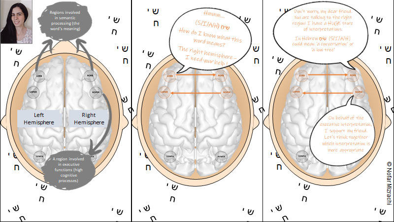 ThePlasticity's tweet photo. Hey up there! Are you two🧠 interacting while I'm reading these ambiguous words?!🤓

Take a look at Nofar's interesting effective connectivity results #DCM #PEB https://t.co/e82yNVr4JY