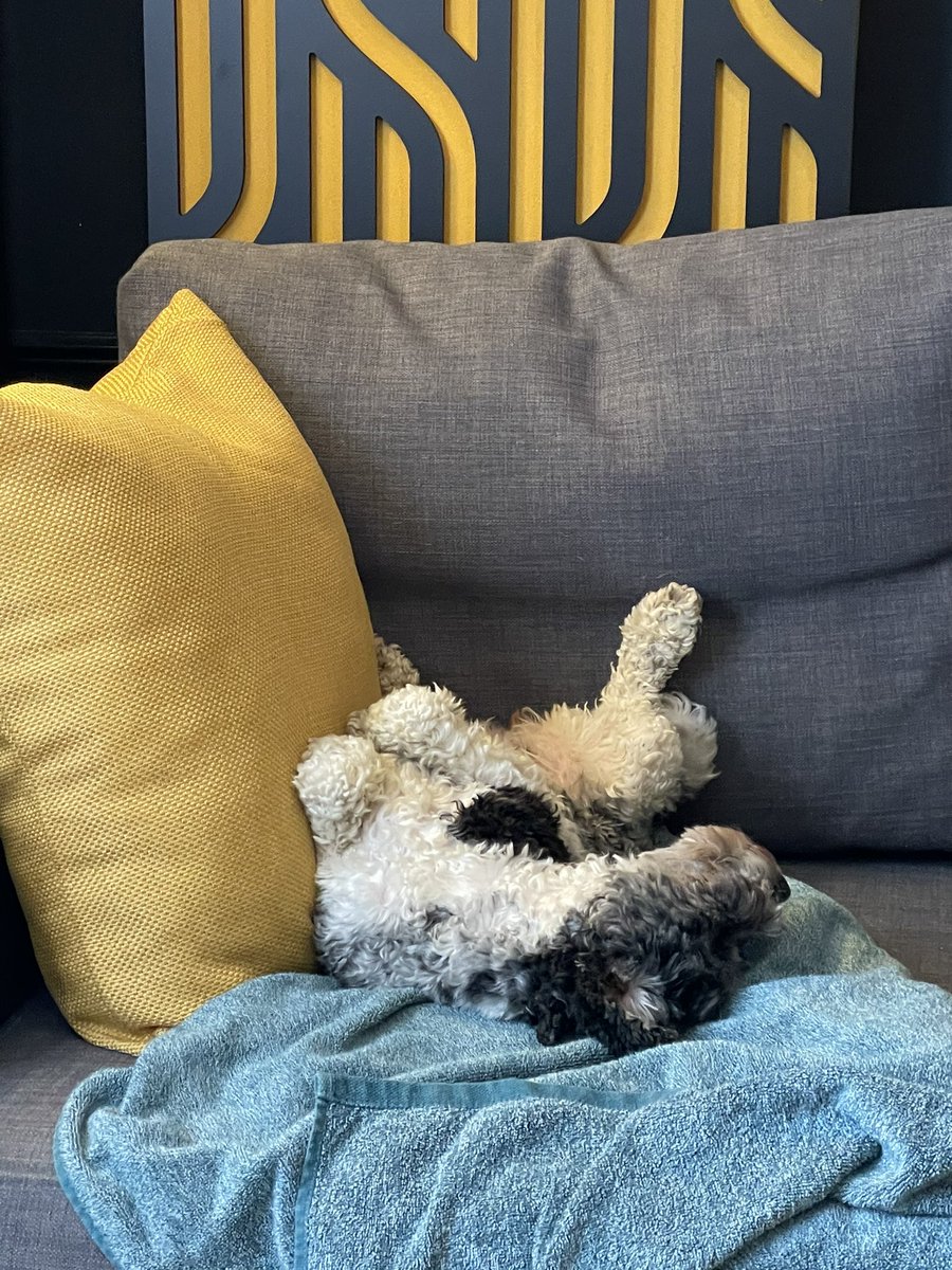 It’s a hard life being a studio dog #gameaudio