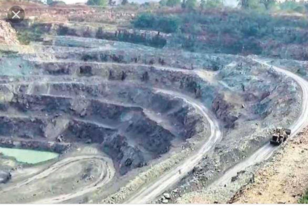 vriksham foundation ( वृक्षम् फाउंडेशन) TAF tweet media