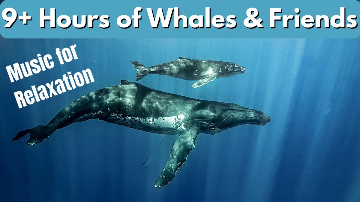 James Goddard tweet media