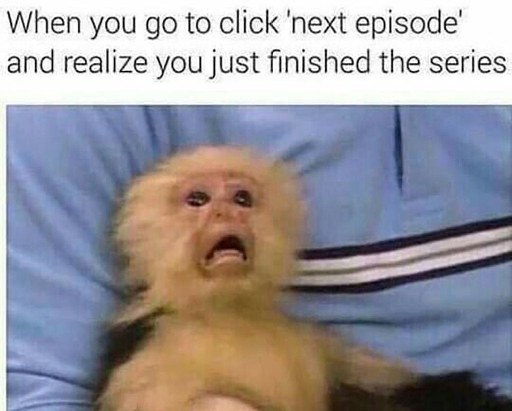 SaveMonkee's tweet photo. The blond capuchin Monkee wont be around for much longer if Netflix doesn't start applying good methods and ways to support those who have finished a series. #SaveMonkee #MonkeeTierList #MonkeeDrip https://t.co/qrX8LhYM4G
