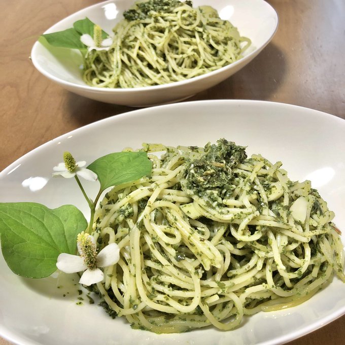どくだみを食べる 庭のどくだみでジェノベーゼを作ったらヤバイものができた あまぼしすずめは働かない