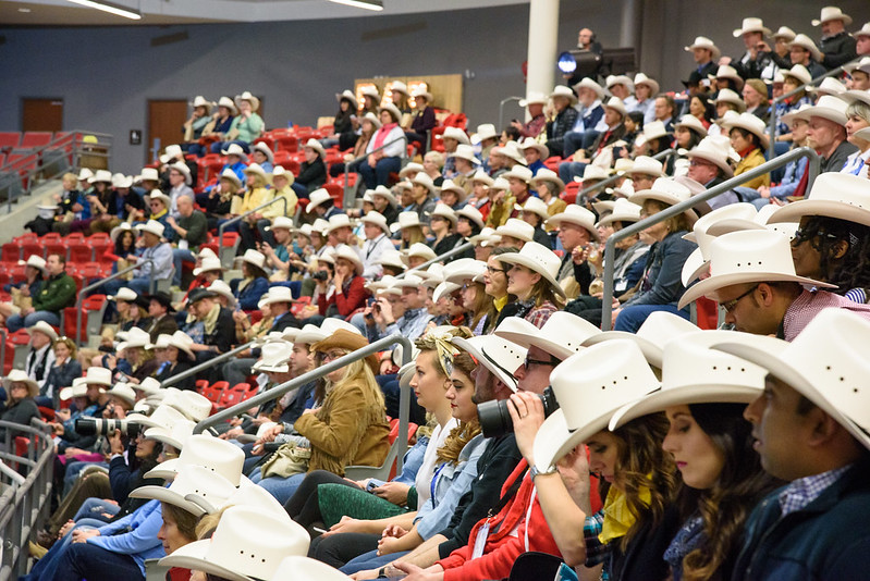 JPBervoets's tweet photo. One week until #ALLIN2021! We might be meeting virtually but we can still share our #RoadToALLIN2021! Share a memory from a past community foundation conference OR let us know what you're doing to get ready this year!

Kicking things off with @CalgFoundation's 2015 Host Event! https://t.co/xfZmW7kpmB