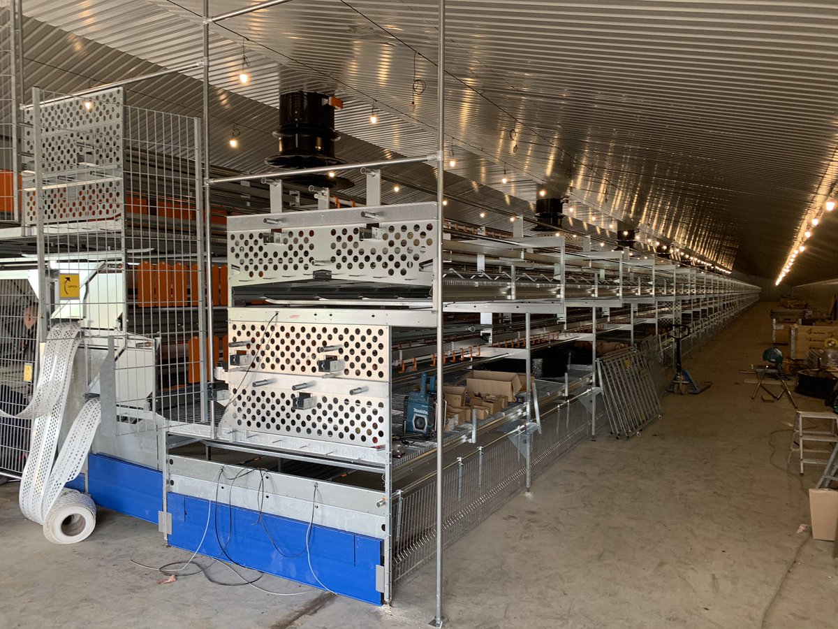 64,000 bird build getting the second shed floor pour started this morning.
In shed 1 however the progress has been fantastic.
#Newquip