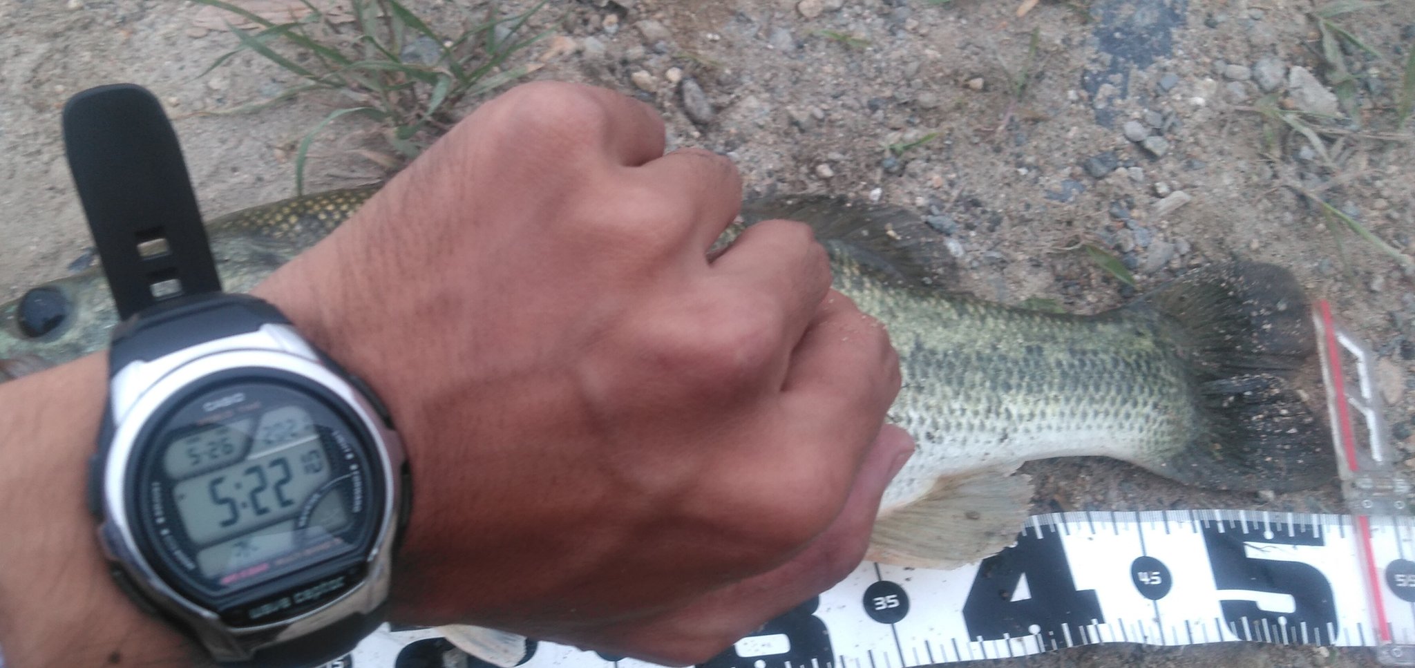 自作釣具のゆうき か 鼻毛切りのゆうき か Jiyuuuuuki Twitter