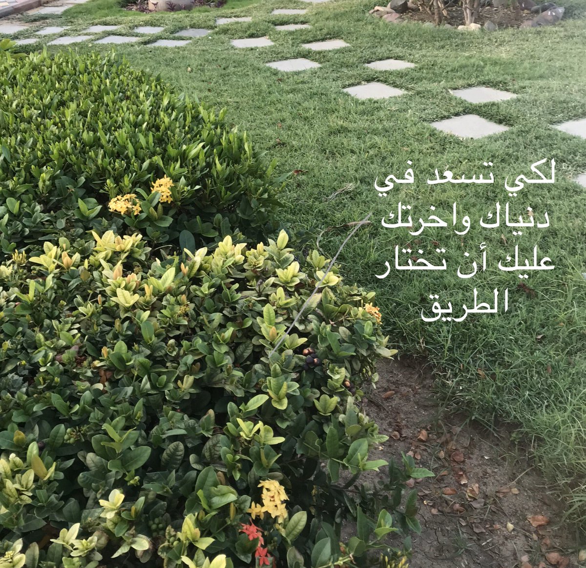 إدارتك لحياتك تحتاج إلى تحديد وجهتك واختيار الطريق الموصل إليها بما كتبه الله لك بعد التوكل عليه