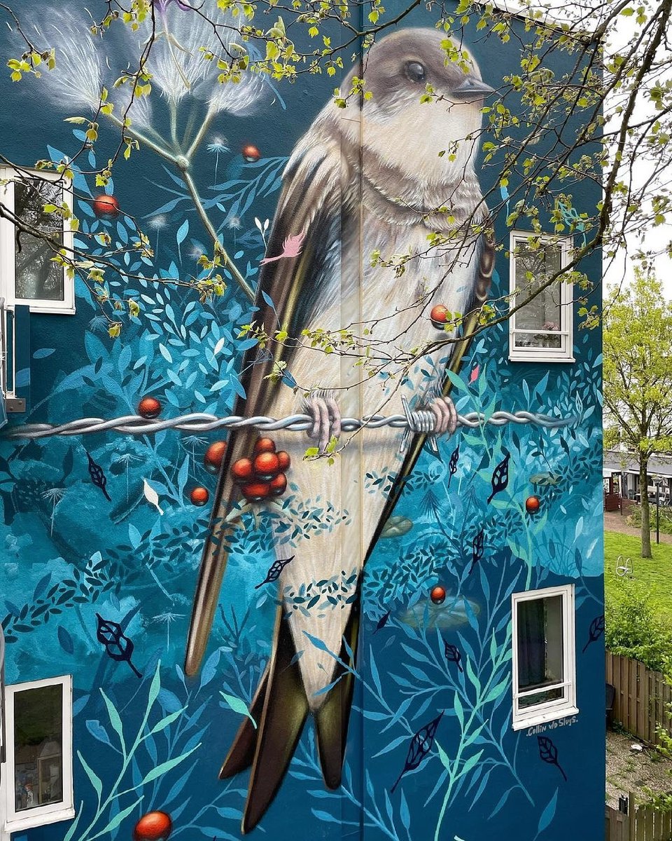 brababella's tweet photo. #Streetart by #CollinvanderSluijs @ #Hoorn, Netherlands
https://t.co/rkBcQ32cay #birds #arteurbana #urbanart #murals #muralism https://t.co/gxrcRH6r14