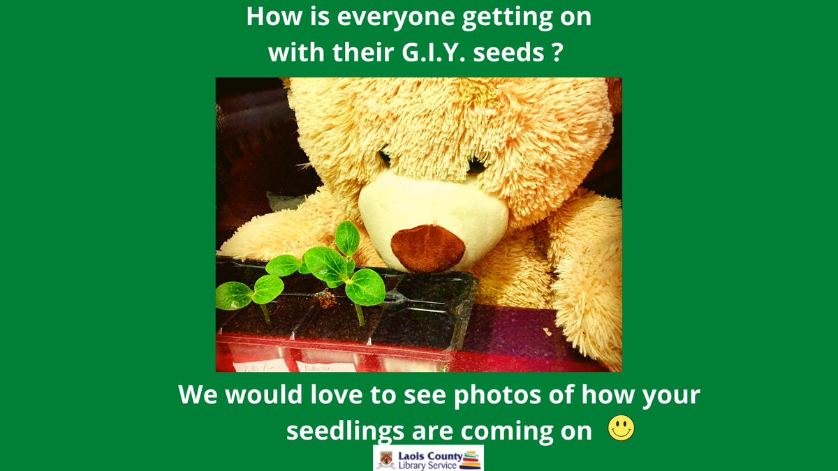LaoisLibraries's tweet photo. How are all our G.I.Y.ers getting on out there ? The #LibraryTeddy is thrilled with his seedlings. We would ❤️to see how you are getting on with your free seeds. Send your pics to mountmellicklibrary@laoiscoco.ie Keep gardening 🌿🌞 @giyireland @LibrariesIre #gardening https://t.co/Mz8se7I80u
