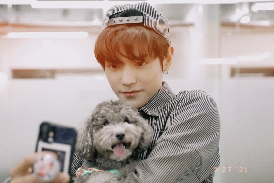 americanobear's tweet photo. how cute | 💐 https://t.co/B9Fu9JI3j4