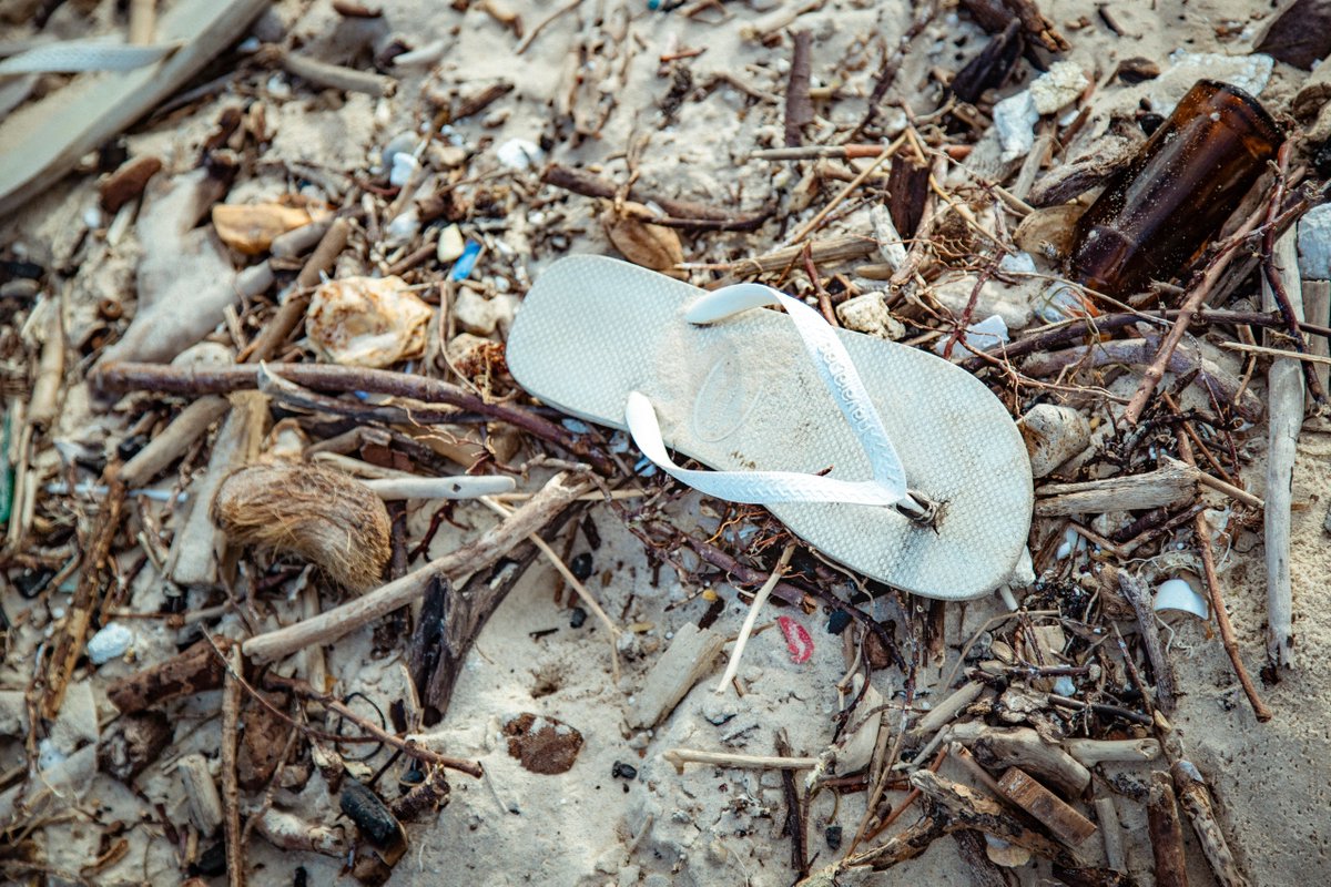 UNEP's tweet photo. 8️⃣ million tonnes of plastic end up in the sea every year, sickening wildlife, clogging fishing nets &amp; sometimes ending up on dinner plates. If trends continue, the oceans could contain more plastic than fish by 2050. Learn what is being done in Kenya: https://t.co/KyVLqYuJHX https://t.co/Z5SY6kLlVN