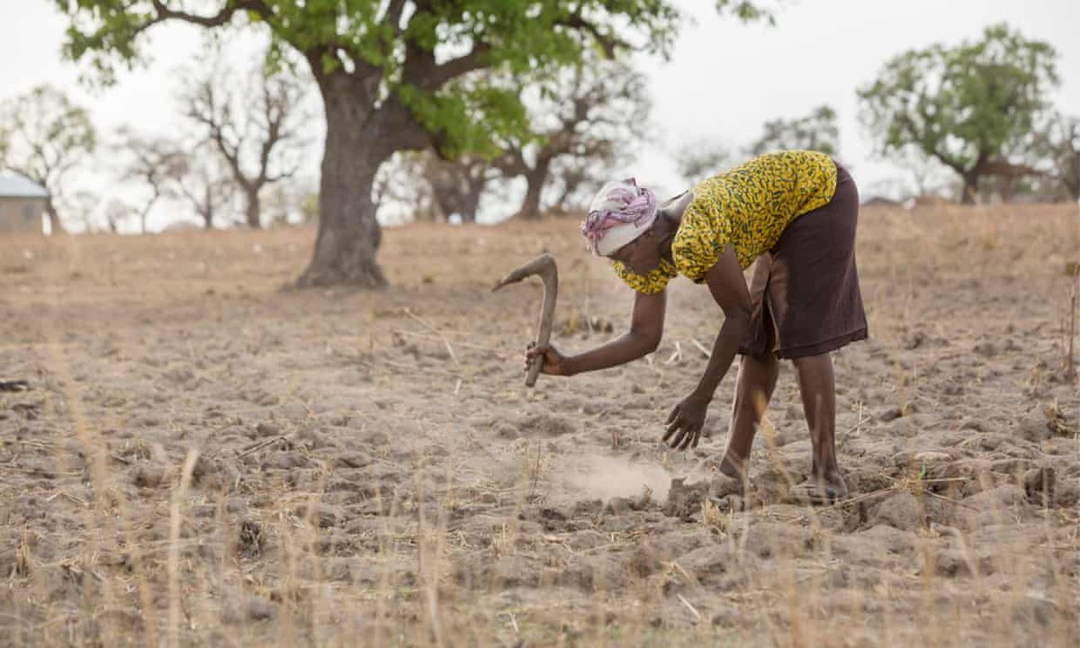 c_degrees's tweet photo. Third of global food production at risk from climate crisis

https://t.co/tB4r2vFvdg

#2DegreesC #ClimateChangeIsReal #ClimateStrike #ClimateEmergency #FridaysForFuture #GoGreen #ClimateJustice #SaveTheEarth #YouthForClimate #CitizenScience #YouthClimateAction https://t.co/DcYomD9kEc