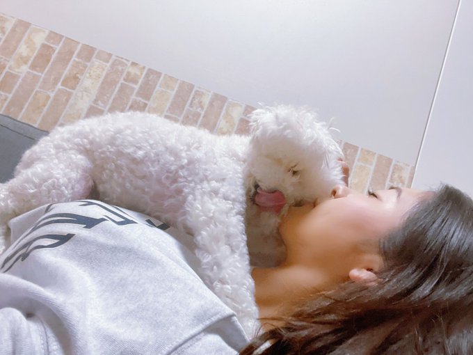 🐩）ぐへへ🥴キッスしちゃう😗💋 https://t.co/Nw1Ib2vE4z