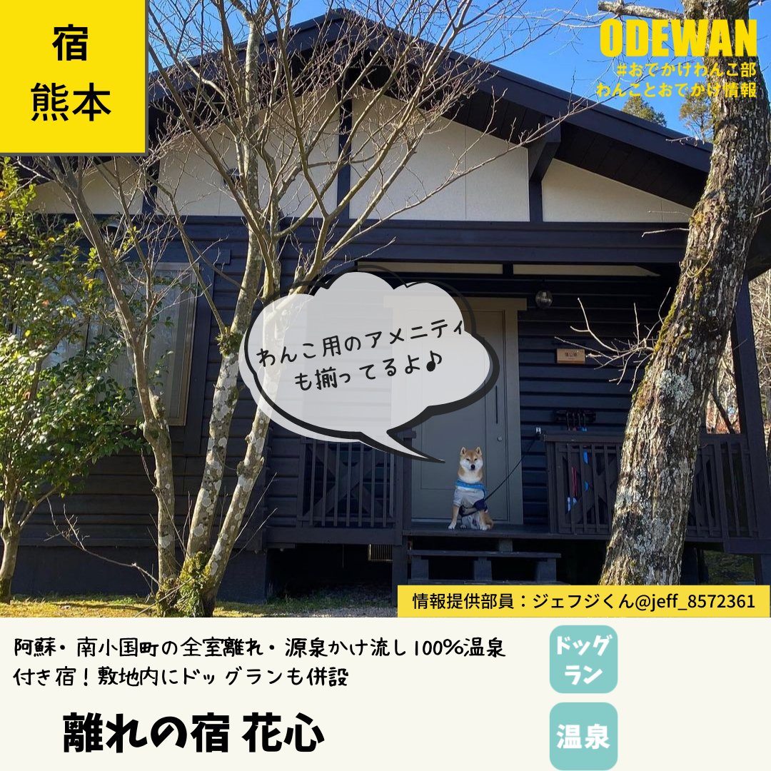 離れの宿花心 Twitter Search Twitter 離れの宿花心 Twitter Search Twitter