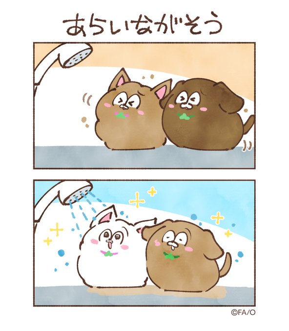 あらいながそう
#まついぬたいむ 