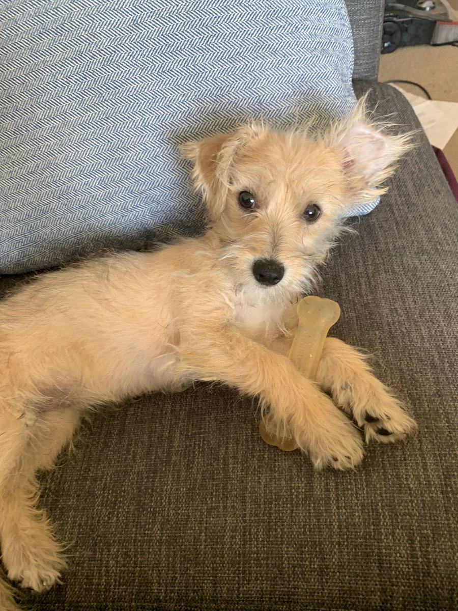 Pathfinder tweet media