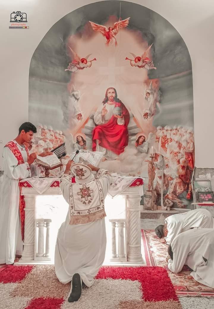 ✤ 𝕭𝖔𝖙𝖗𝖔𝖘 𝕹𝖊𝖘𝖘𝖎𝖒 ✤ tweet media