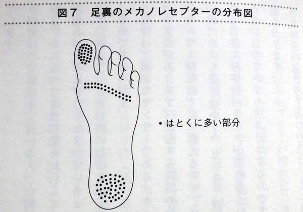 公式 足半屋 足から身体を整える Asinaka Twitter