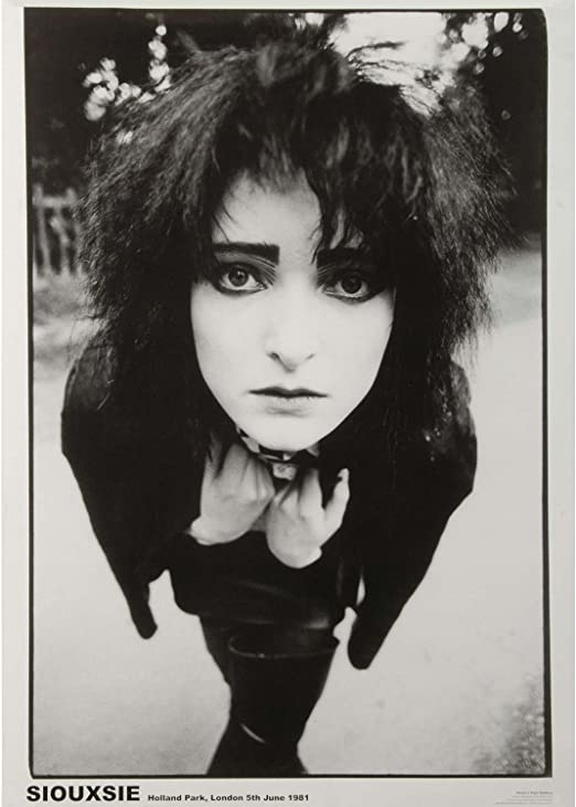 Happy birthday Siouxsie Sioux    