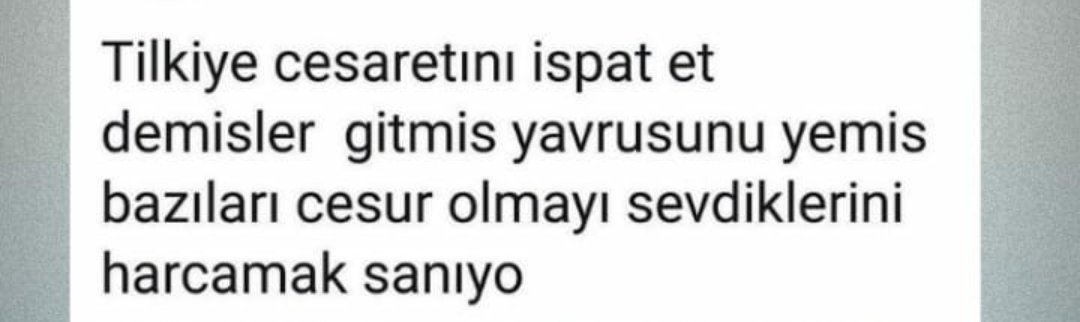 şirin karaca (@krcsrn) on Twitter photo 