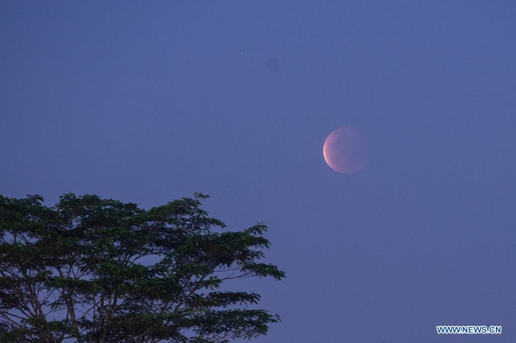 justsmmpro's tweet photo. Super blood moon seen across world https://t.co/604Do7f7LH