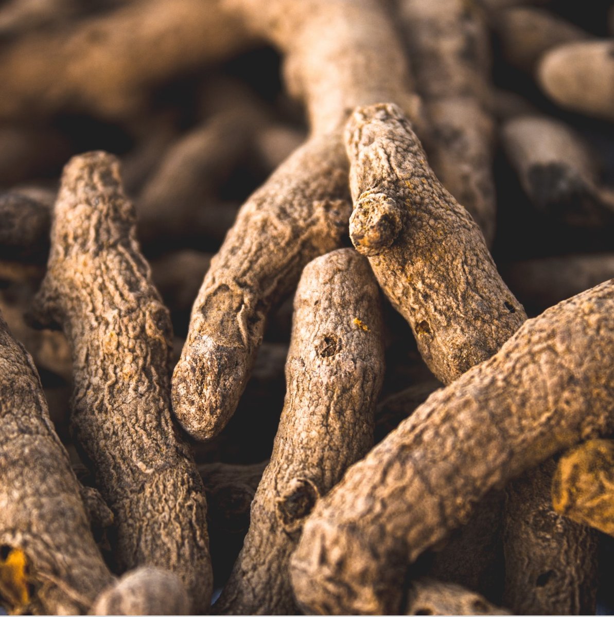 thewellnesshub_'s tweet photo. ✅The most active compound found in Turmeric is curcumin, its has many scientifically-proven health benefits, such as the potential to prevent heart disease, Alzheimer's.
#thewellnesshub #livestrong #nuyouproject #bethebestyou #wellness #supplements 

https://t.co/CmjAy2oE2e https://t.co/tDBHcDhR0u