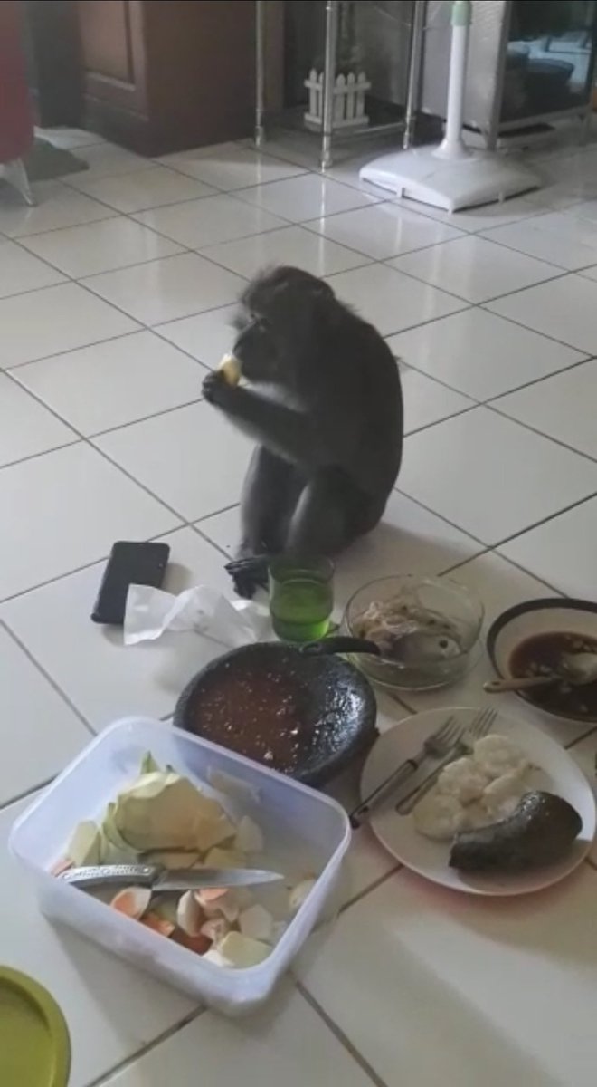 Datang tamu ngumpet dikamar ❌
Datang tamu ajak ngerujak ✅