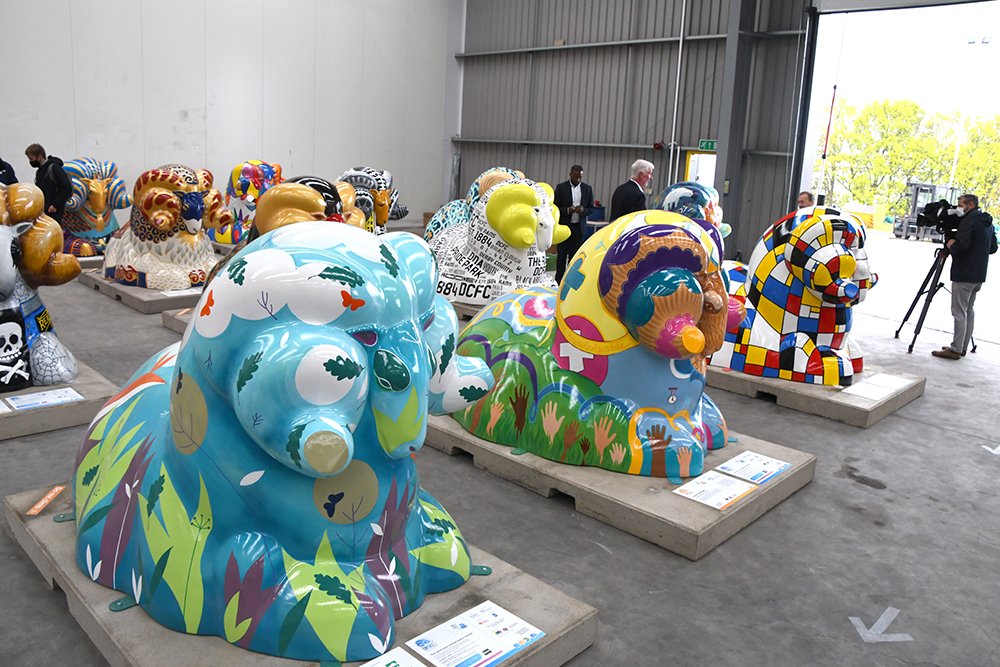 Derby Ram Trail tweet media
