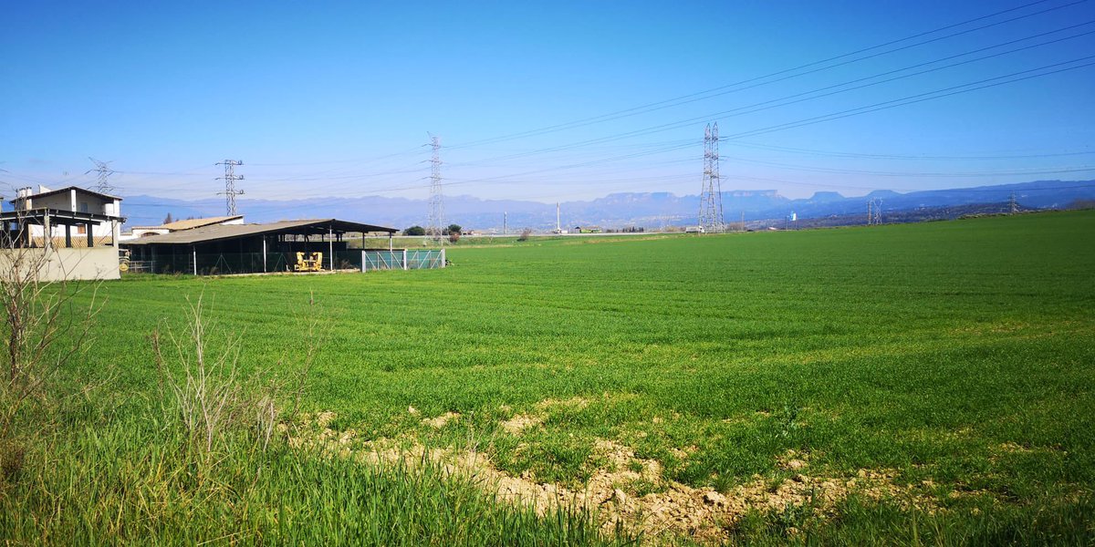 Col·legi de Geògrafs tweet media