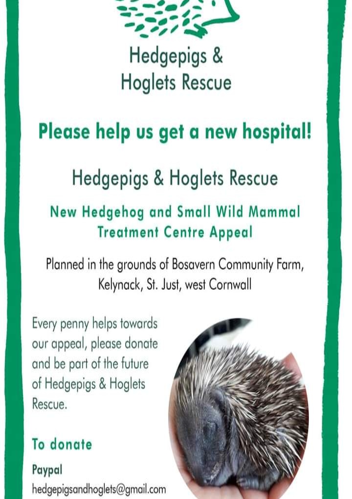 AndHoglets's tweet image. 