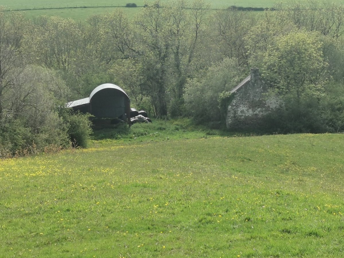 john maelgwyn davies tweet media