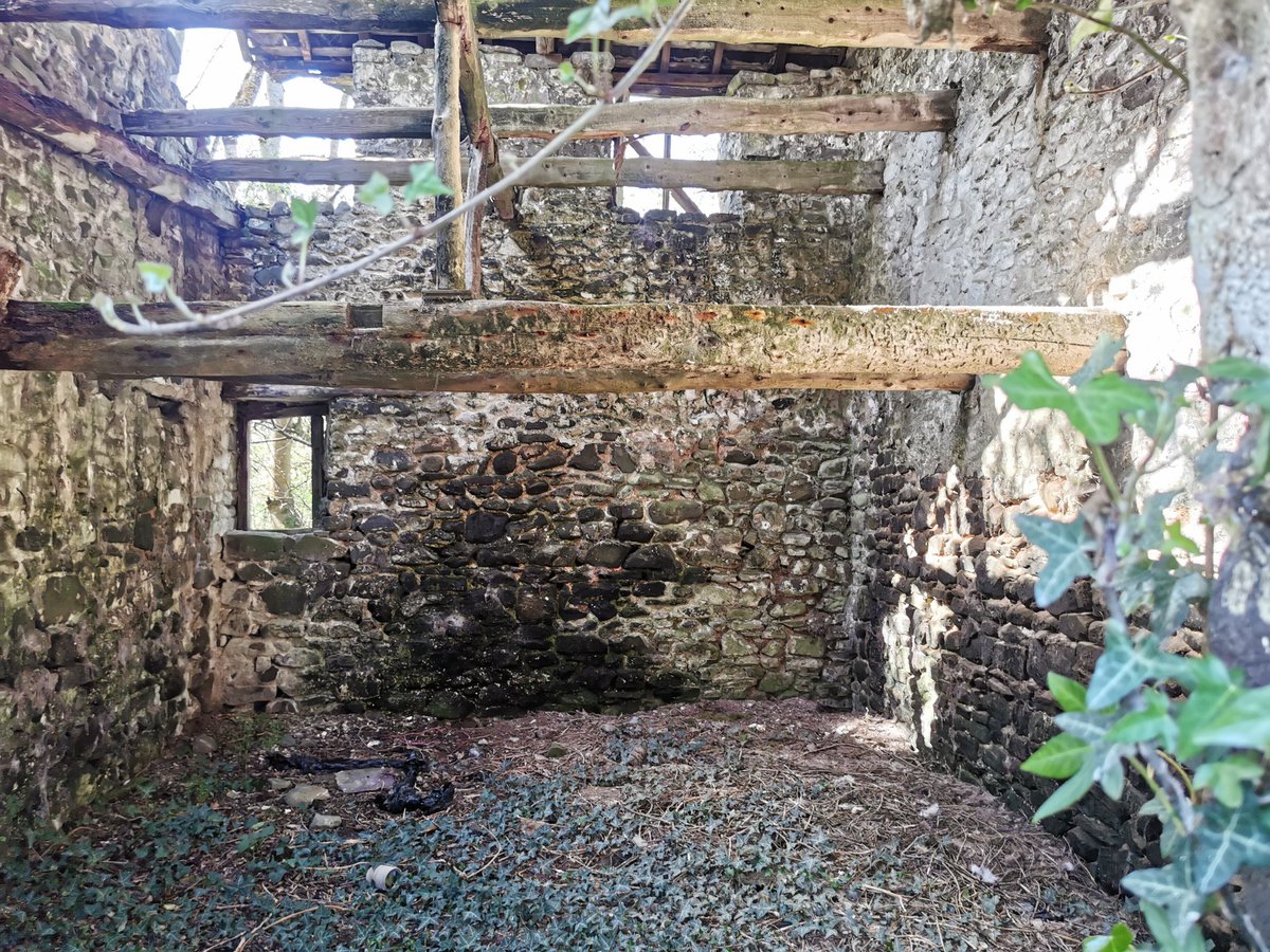 john maelgwyn davies tweet media