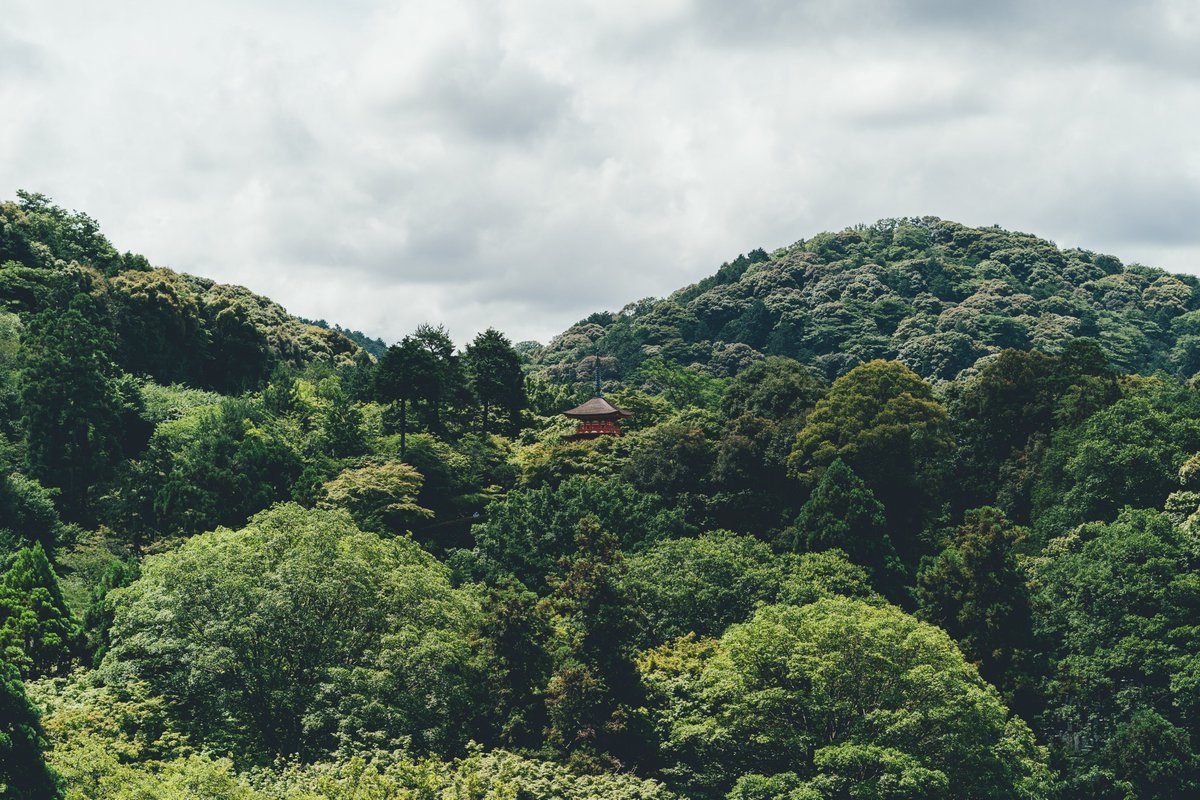 It’s heartening to see that #Singaporean companies are improving at their #sustainability reporting. Although there’s more to be done, our society is on the right track. 

straitstimes.com/business/compa…