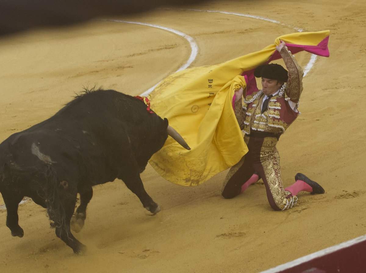 Barcelonataurina.com tweet media