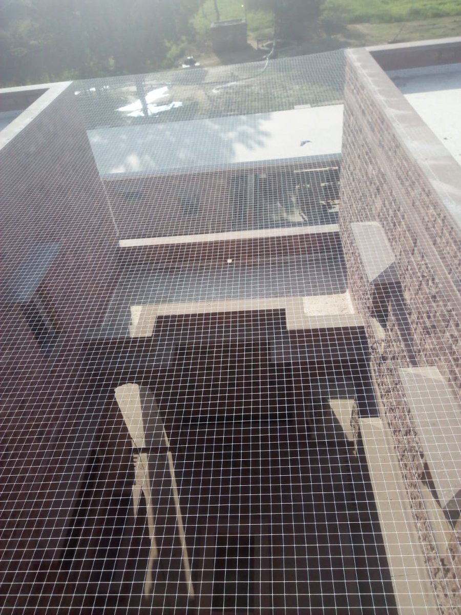 Are you tired of birds and pigeons spoiling your b..For more info visit...locations.reachnettings.com/latest-update/…