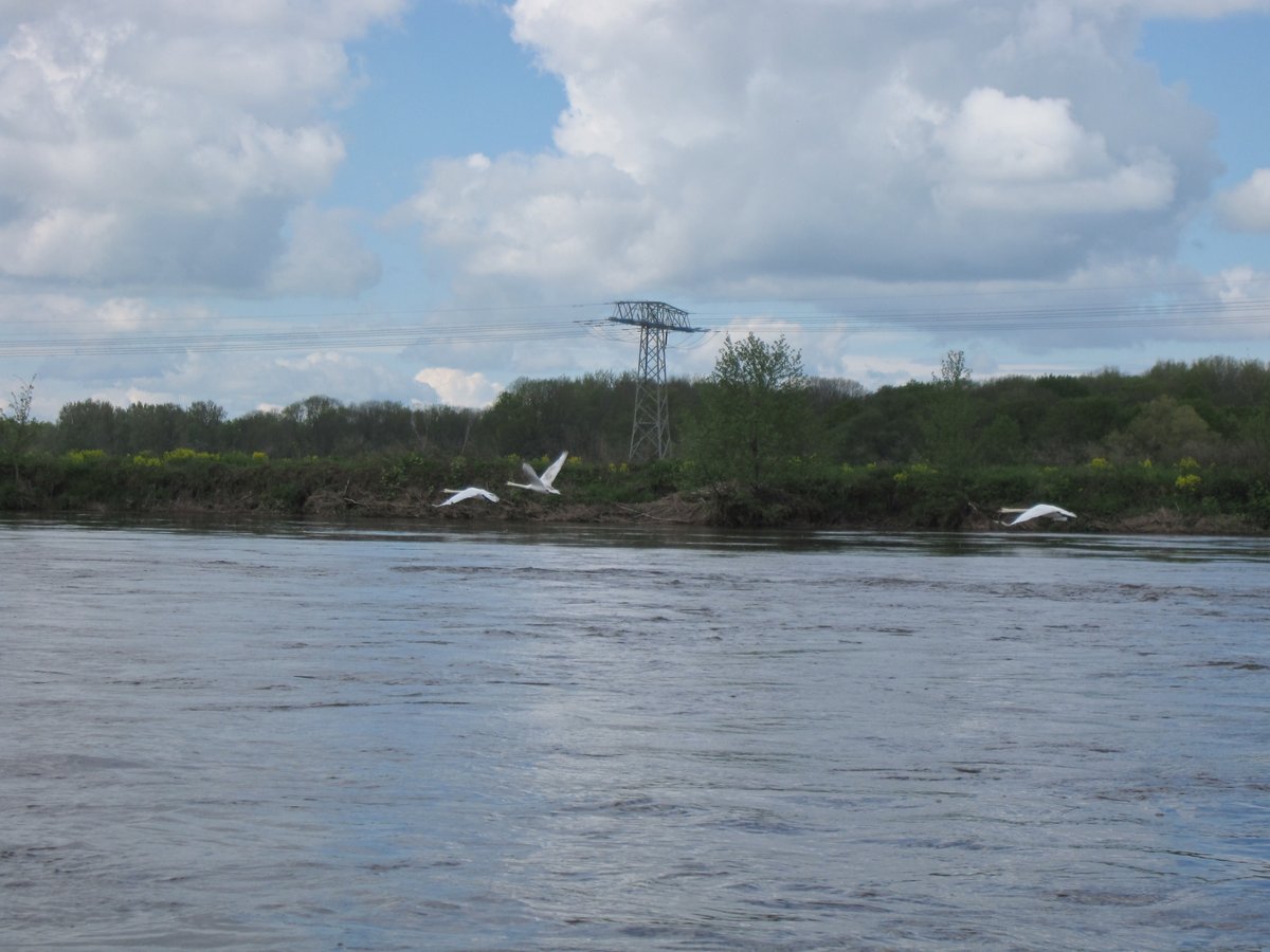 EitnerUwe's tweet photo. pures Chillout mit Sport und Natur beim #Wasserwandern auf der Mulde von Wurzen zur Lieblingsstadt #Eilenburg mit #AEKayak https://t.co/OcO2PjQX4y