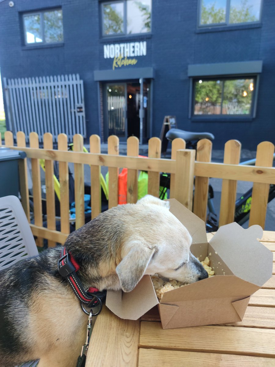 Thank you to team .<a href="/NrthrnKitchenBD/">Northern Kitchen</a> for the #DecaffResus &amp; scrambled egg breakfast for Benson, after our 10 mile bike out this morning. 
🐾🐾👍☕🍳 #SupportIndependentBusinesses