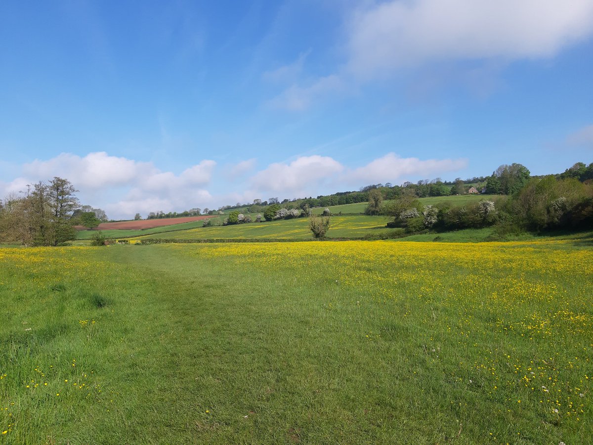 Good morning! #hellosunshine #summershere #byebyerain