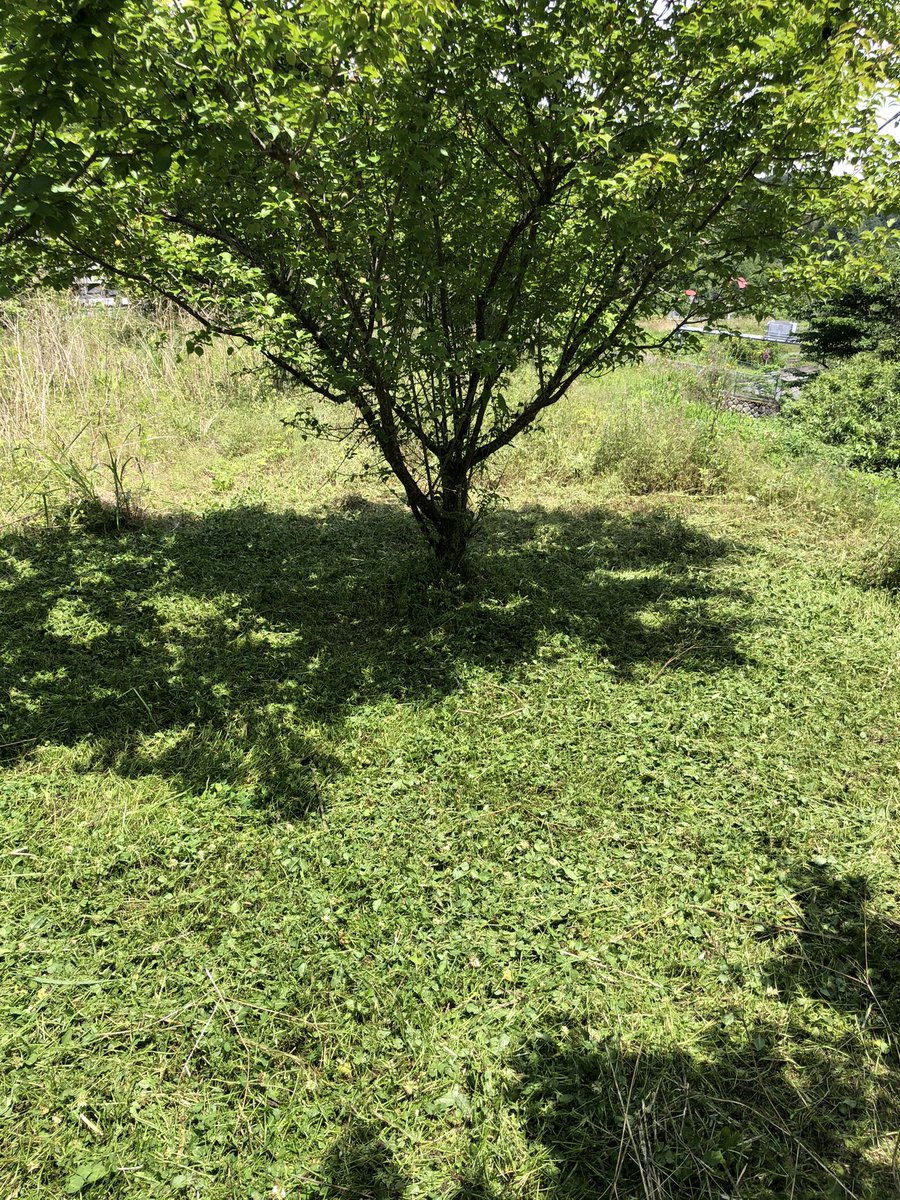 風布にじます釣り堀センター Nijimasuya Masa Twitter