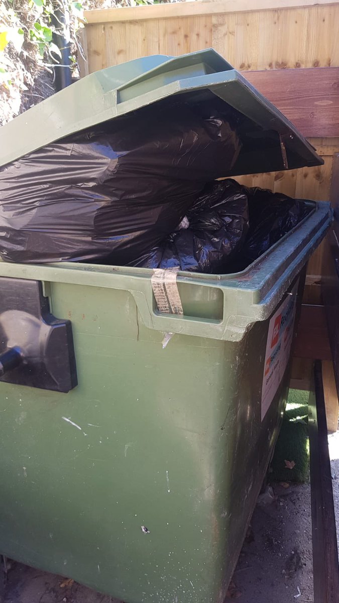 Iain Hall tweet media