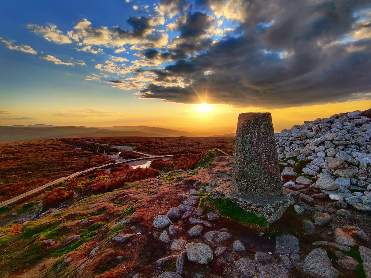 Aoife Duffy tweet media