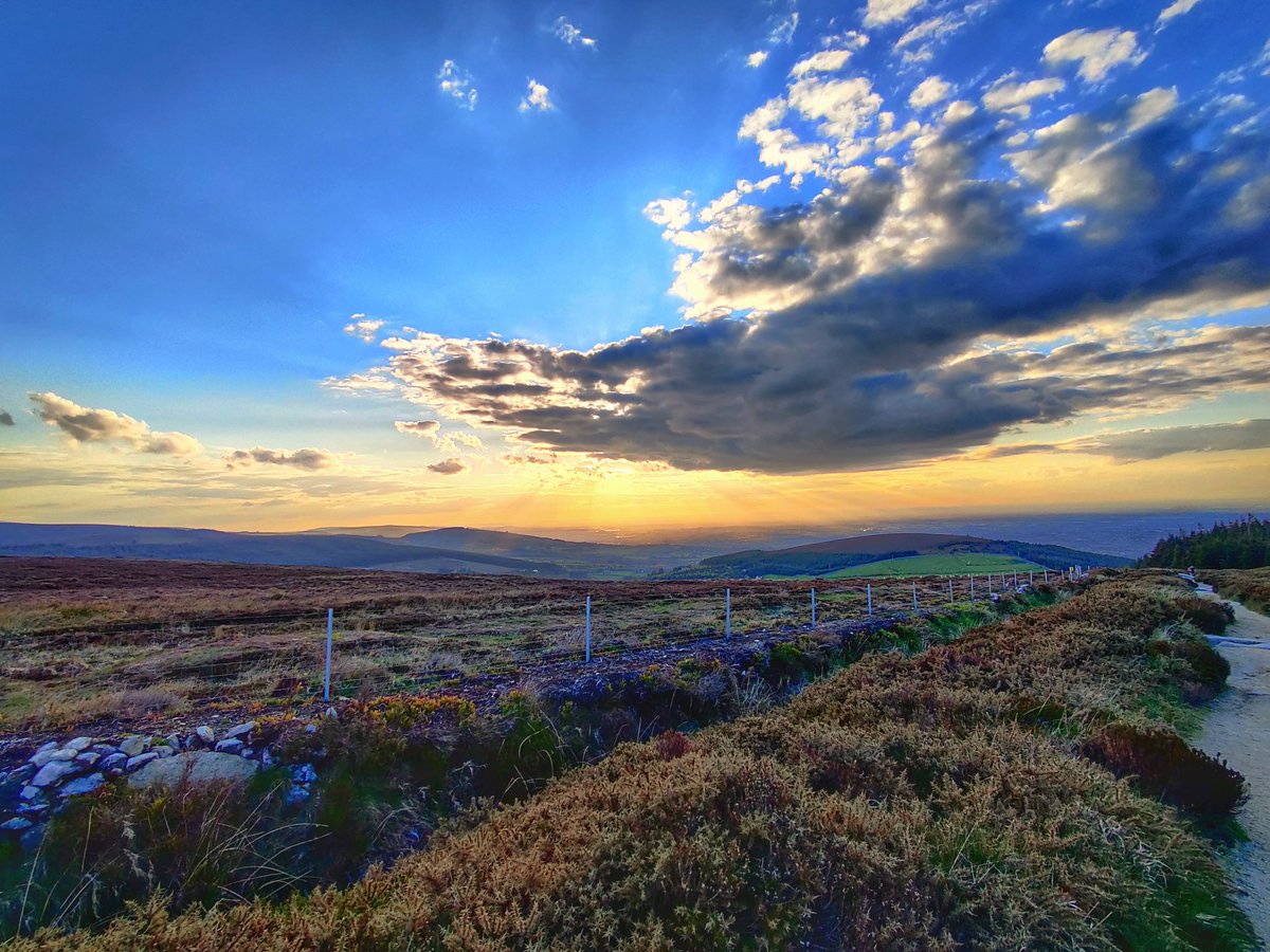 Aoife Duffy tweet media