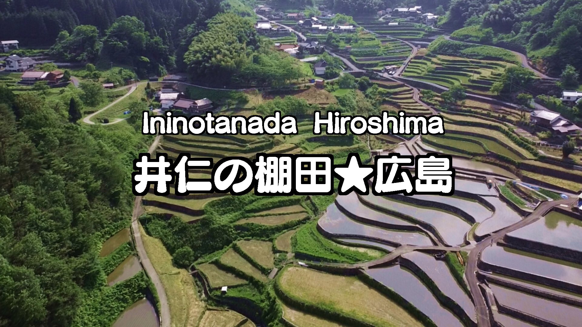 日本棚田百選 Twitter Search Twitter