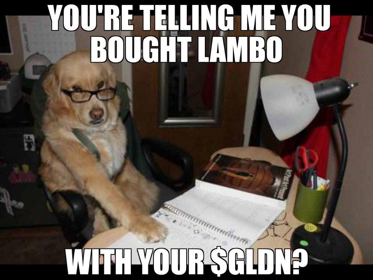 GldnToken's tweet photo. What color is yours going to be? Personally, I would make mine gold 🐕 #GoldenBoy $GLDN #crypto #bitcoin #ethereum #defi #goldenretriever #NFTs #shib #dogecoin #akita #kishu https://t.co/DejJJlVtVQ