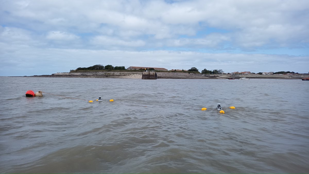 complementterre's tweet photo. Mise à l'eau de nos bouées #GNSS #RTK pour le monitoring temps réel des propagations des ondes océaniques et des variations du niveau de la mer/marais littoraux. 🛰️🌊
Projet #OpenSource, #LowCost & #Collaboratif @LIENSsCNRSULR @INRAE_Poitiers
#CentipedeRTK #RTKbase #RTKlib https://t.co/bHBLcOyL0a
