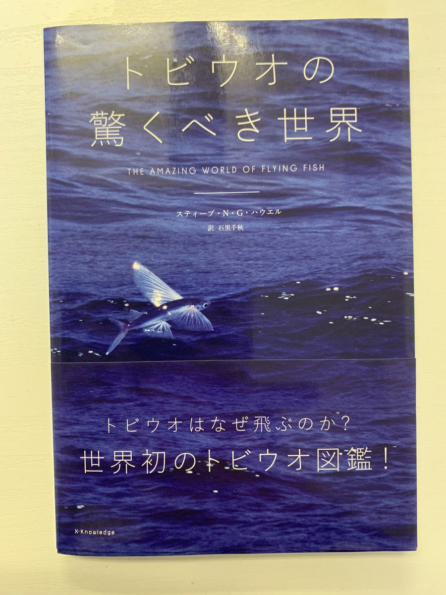 トビウオ なぜ飛ぶ トビウオ なぜ飛ぶ