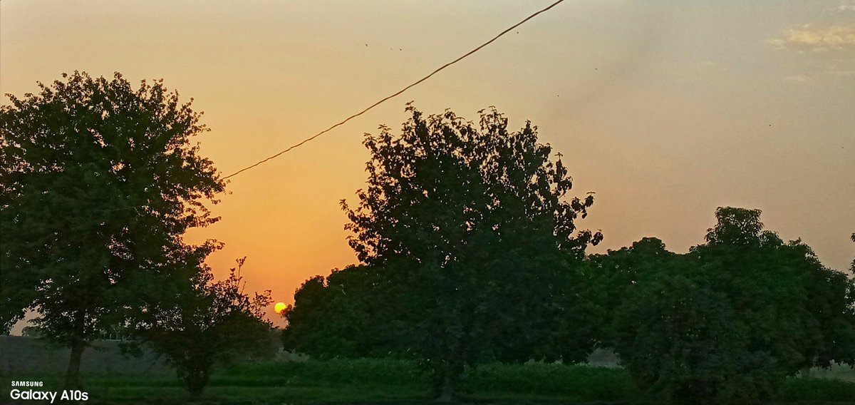 Zainiifatima's tweet photo. فَبِأَىِّ ءَالَآءِ رَبِّكُمَا تُكَذِّبَانِ                                          
“Which, then, of your Lord’s blessings do you both deny?”
♥️☀️ https://t.co/pDjGC1VokX