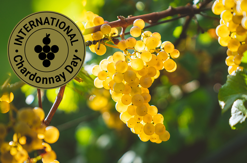 houseofwinegr's tweet photo. Happy Chardonnay Day! 

#houseofwine #how #ecava
#internationalchardonnayday #chardonnayday https://t.co/1vfEJMrd8H